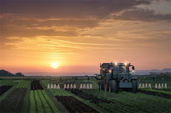 一个人坚强的简短句子 一个人要坚强的句子