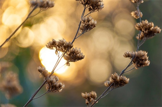 给团队打气激励的句子霸气搞笑