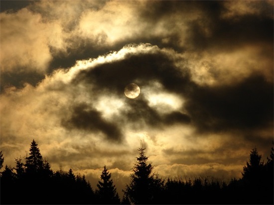 不想开学的搞笑句子29句