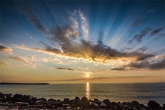 刺猬句子 刺猬能造什么句子