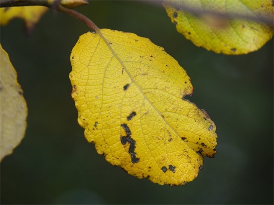 要懂得拒绝别人的句子，要学会拒绝别人的句子