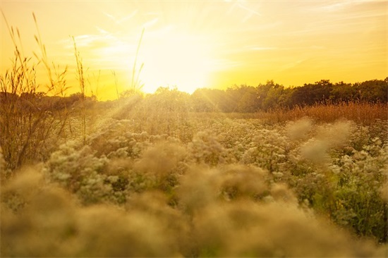 2026年实用的情感的语录