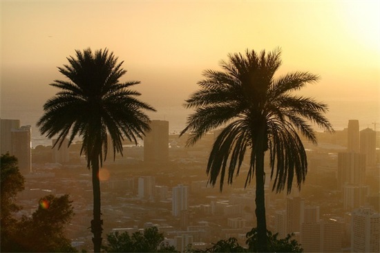 校园雷人搞笑超拽语录87句