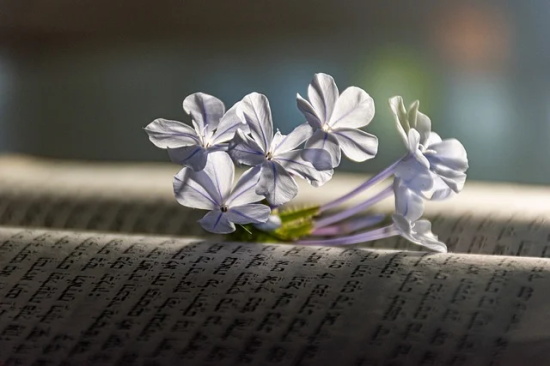 爆笑经典语录94句