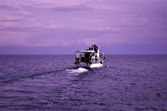 2026年最现实的伤感语录98句