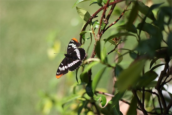 2026简单经典早安语录 高情商经典早安语录