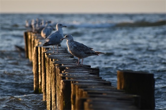 冷暖自知的经典语录 看透人心的悲凉句子