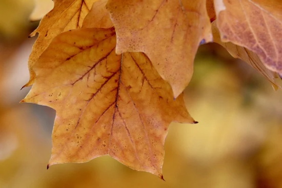 早安语录发朋友圈经典正能量话