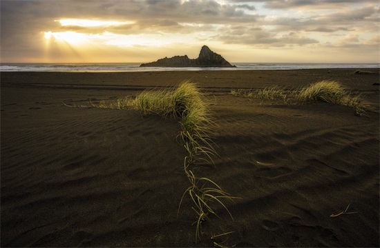 表达感情受伤的伤感心痛语录