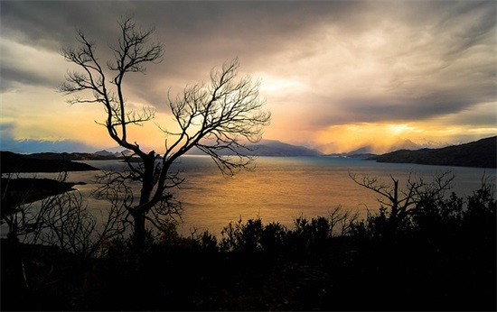 情感语录伤心情感语录