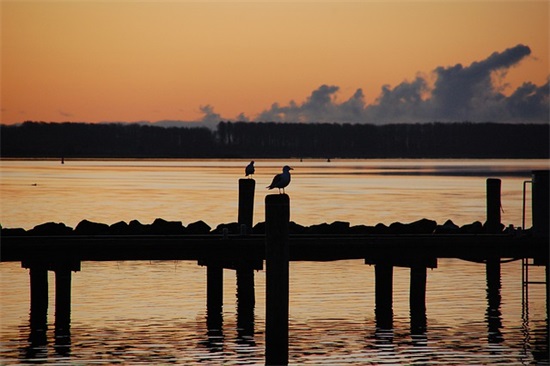 激励减肥语录62句