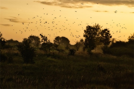 服务八字口号大全-56句 服务八字口号大全-56句