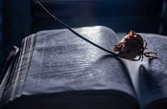 激励上进八字口号-64句