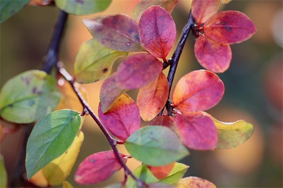 儿童足球队口号-52句