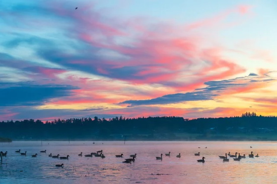 电商公司口号霸气押韵87句
