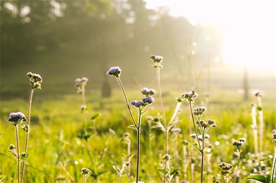 三个字的班级口号-61句
