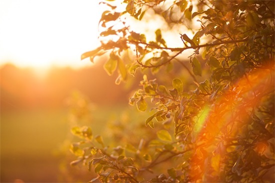 保险组名和口号-53句