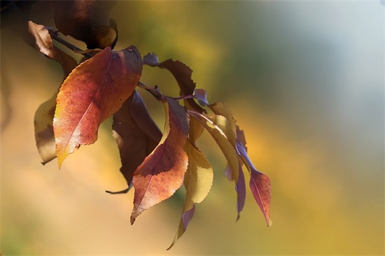 6字押韵口号-89句