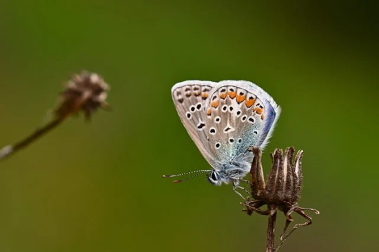 高三寄语或鼓励的口号-58句