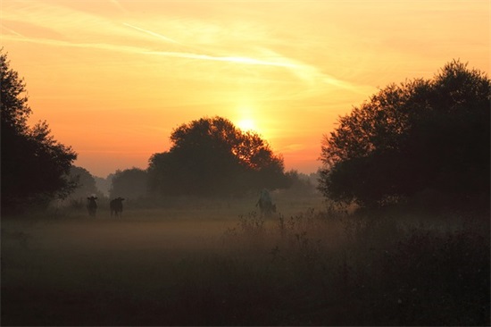 祝长辈过年的祝福语-50句