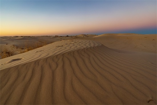 落落关于爱情的经典语录