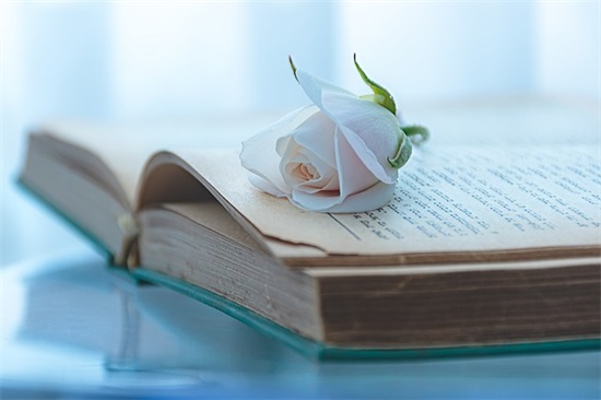 治愈心灵鸡汤句子2026(治愈人心的心灵鸡汤语录)