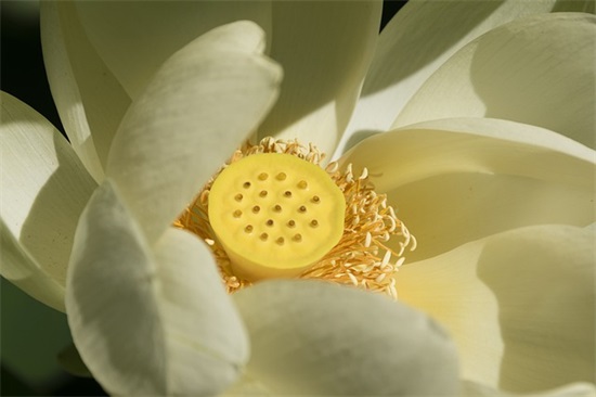 男人有累自己扛语录 男人好难的经典句子