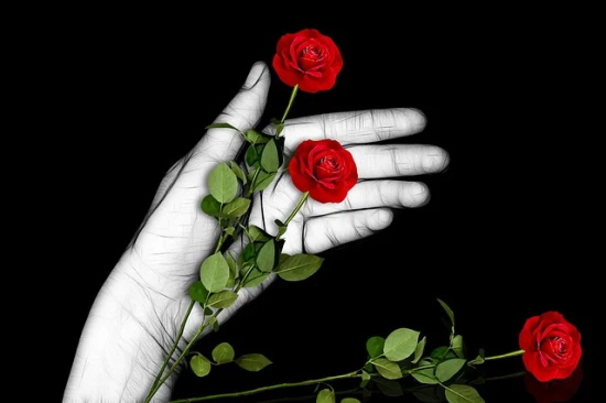 名人感恩的句子经典语录